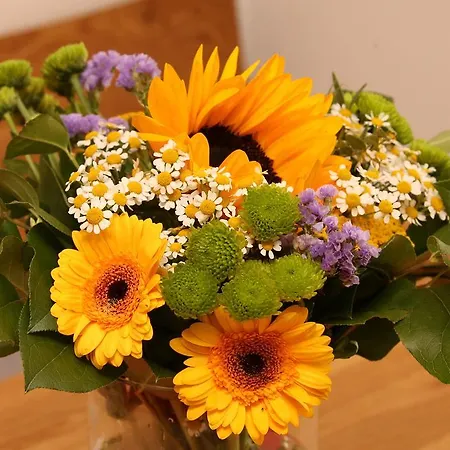 Готель Hochkoenig Рамзау-ам-Дахштайн