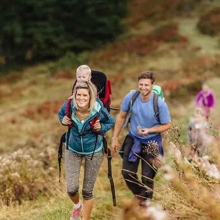 מלון Hochkoenig רמסאו אם דכשטיין